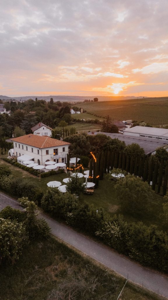 Hochzeitsfotograf Pfalz Cathy Kohlenberg Fotografie Hochzeit Weingut Mussler
